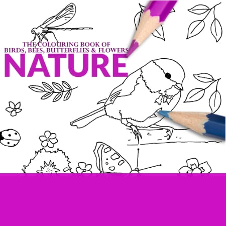 Birds Bees Butterflies and Flowers Colouring Book