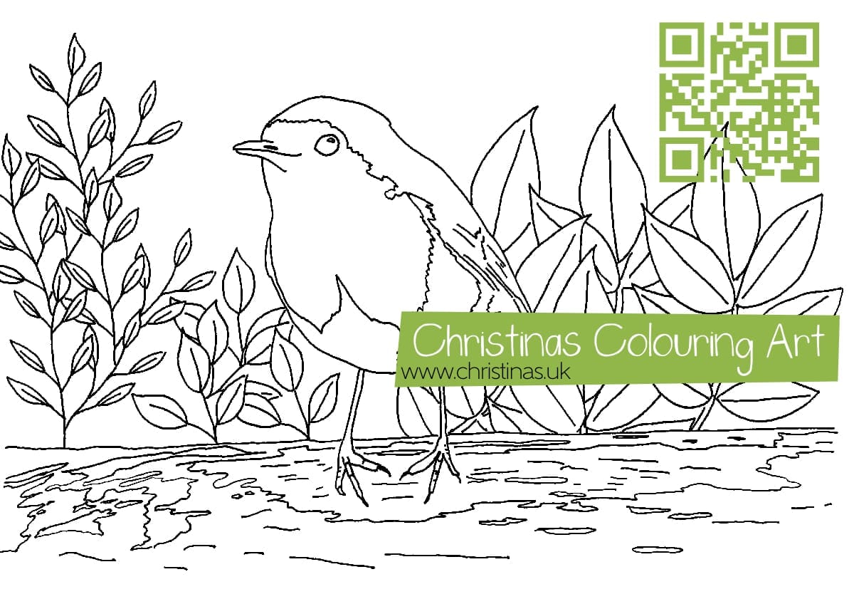 Download Colouring Page Robin In Garden