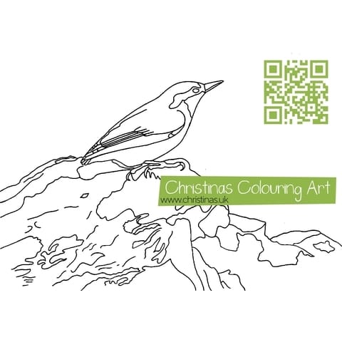 Download Colouring Page Nuthatch