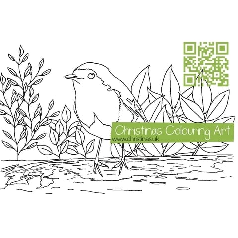 Download Colouring Page Robin In Garden