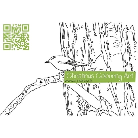 Download Colouring Page Wren In Tree